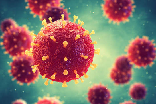 Infectious disease management — viral and bacterial infection care